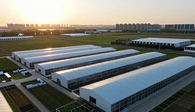 技术外包中的场景适配与实施难点分析